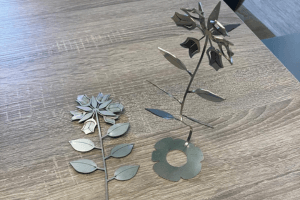 JAWS - Achterhoek 2026