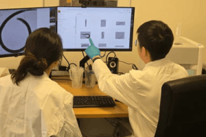 Soil Valley - De Liemers 2026