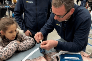 Wassink Autogroep - Achterhoek, Nijmegen en Arnhem 2026